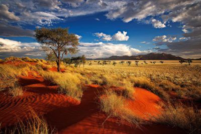 viaje namibia safari en 4x4