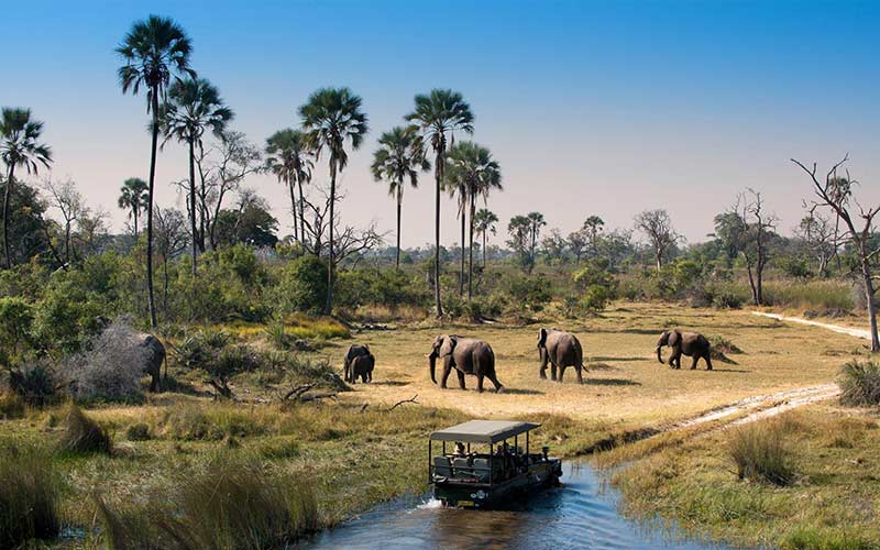 delta-okavango-safaris-viajes-a-botswana