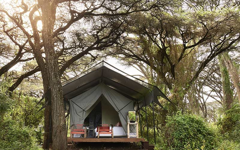 lodges-deluxe-suite-habitaciones-viaje-tanzania-safari