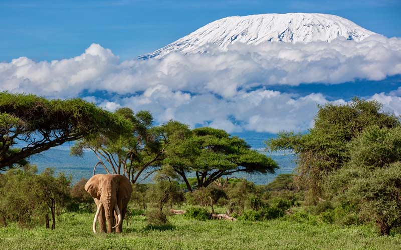 safari-de-lujo-Ngorongoro-tanzania