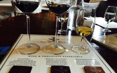degustacion-vinos-sudafrica