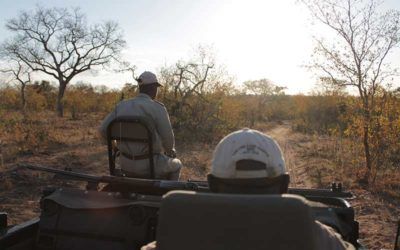 safari-sudafrica-kruger-lodges-de-lujo