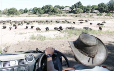 viajes-sudafrica-safaris-kruger-lujo