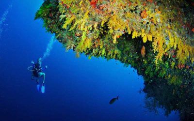 best-resorts-maldives-snorkling-anantara-kihavah
