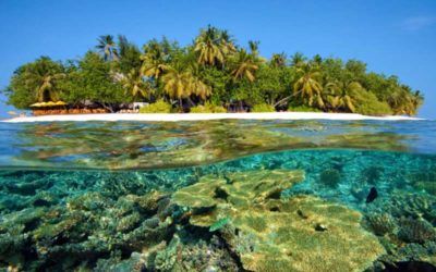 best-resorts-maldives-snorkeling-angsana-ihuru