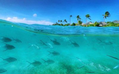 best-resorts-maldives-snorkeling-hurawalhi-island-resort