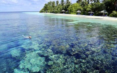 best-resorts-maldives-snorkling-robinson-club