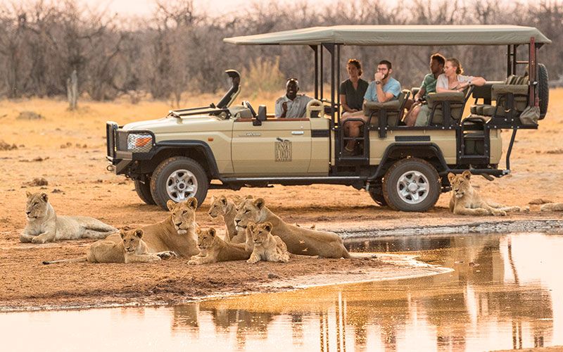 safari-parque-nacional-savute-viajes-a-botswana