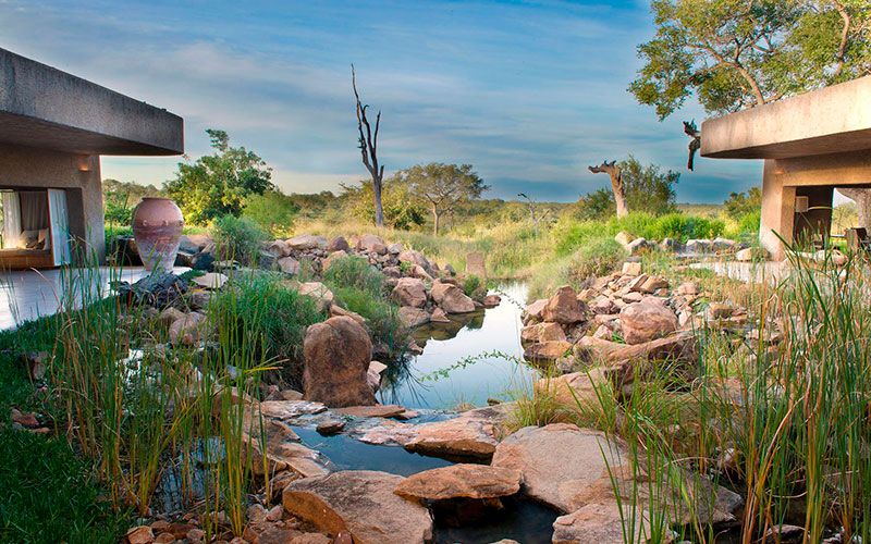 luxury-lodges-kruger-safari-viajes-sudafrica